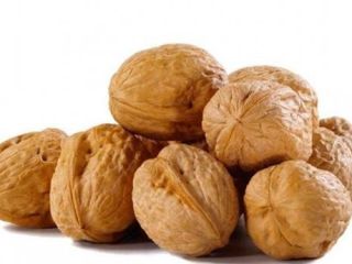 I will buy a Whole Walnut from 500 kg,