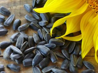 We can supply you quality Sunflower Oil , with