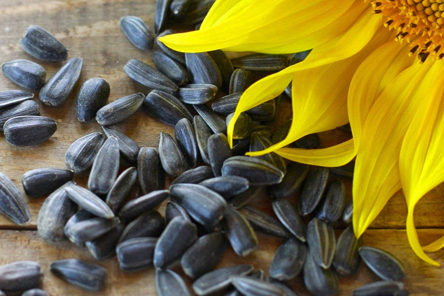 We can supply you quality Sunflower Oil , with the following characteristics; Type: SUNFLOWER OIL Product Type: Nut & Seed Oil Processing Type: Refined