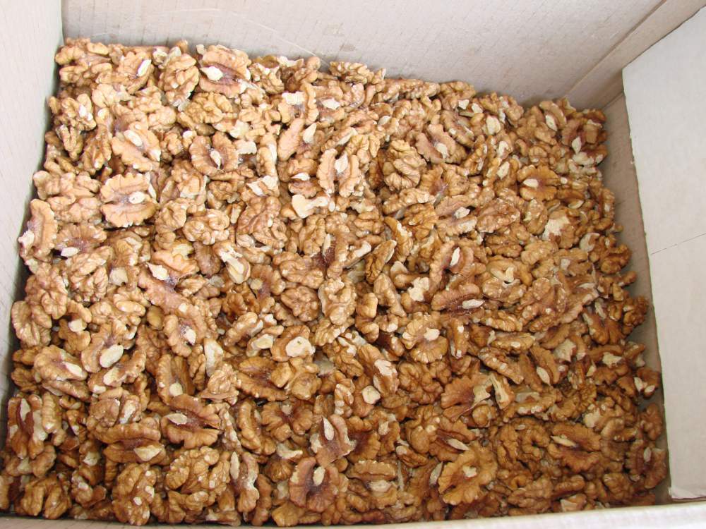 I will sell a peeled confectionery nut I will sell a peeled walnut in assortment