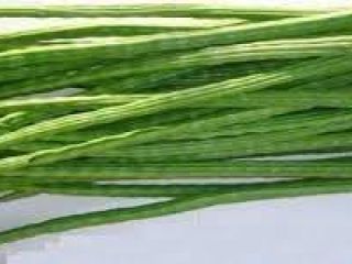 Fresh Vegetable Drumstick from India
