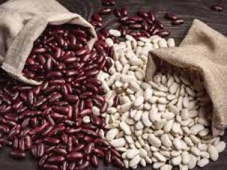 Bins Natur Produkt offers to buy beans in bulk