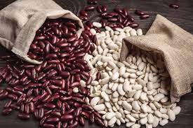 Wholesale of beans in the range