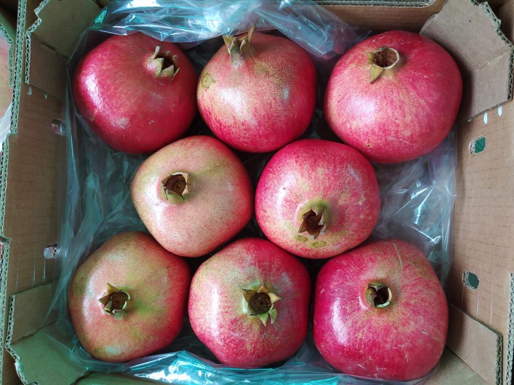 Pomegranate wonderful from Peru Calibers: 9 - 18 Boxes of : 3.8kg , 5kg