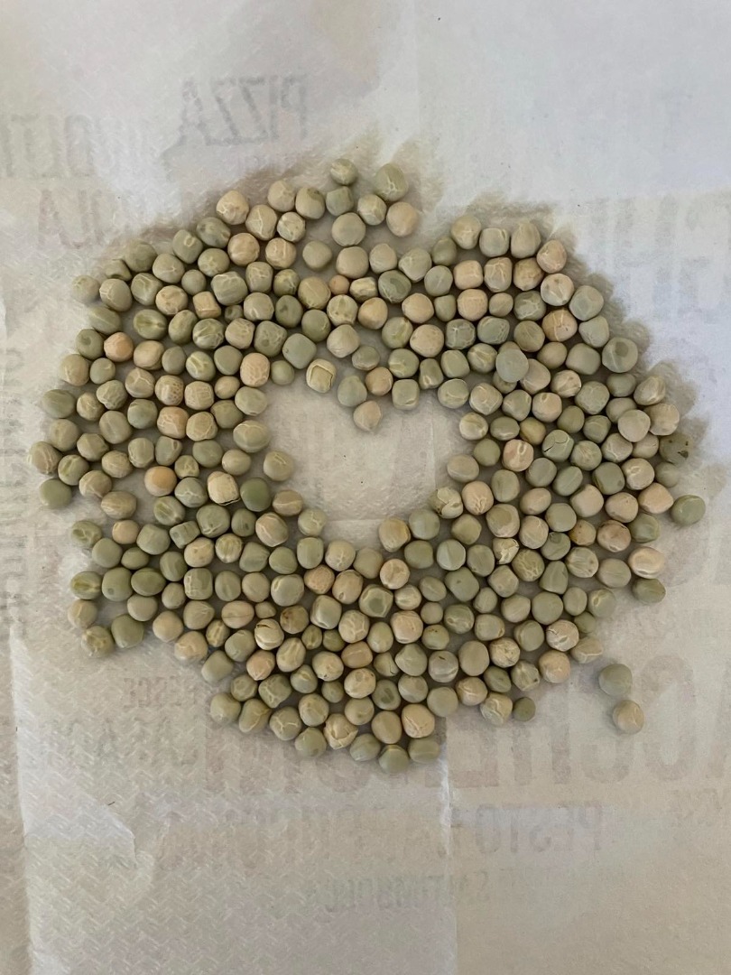 I will sell seeds of dried green peas