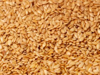 Group of companies "ExportGrain" exports flaxseed, origin Kazakhstan, FCA