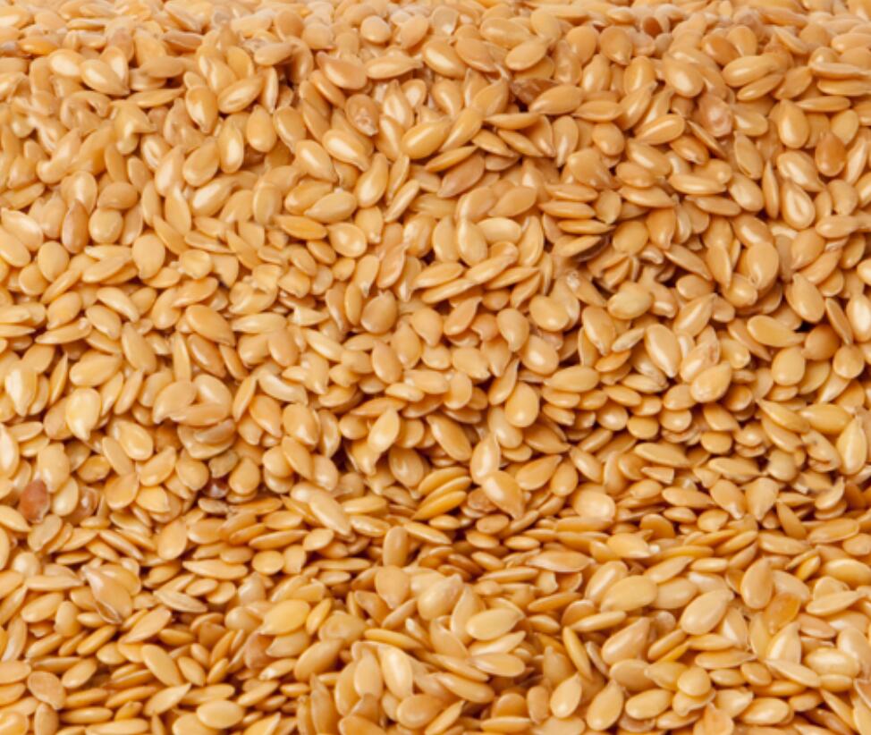 Group of companies "ExportGrain" exports flaxseed, origin Kazakhstan, FCA Kazakhstan