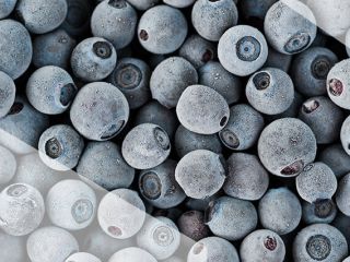 Blueberry of Belarus. in stock 23t. packed in cardboard
