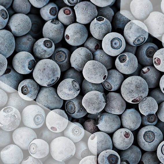 Blueberry of Belarus