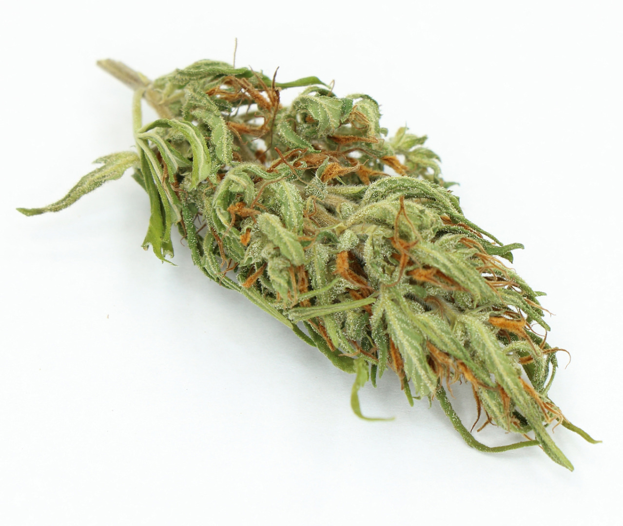 I offer Polish dried CBD for sale