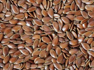 Group of companies "ExportGrain" exports flaxseed, origin Kazakhstan, FCA