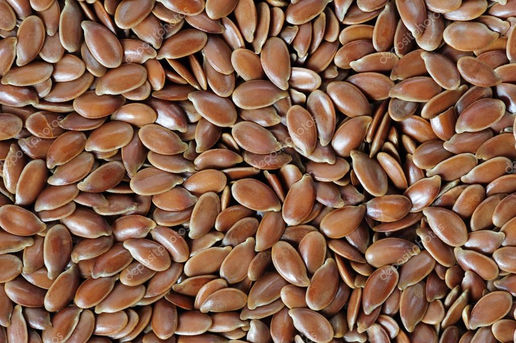 Group of companies "ExportGrain" exports flaxseed, origin Kazakhstan, FCA Kazakhstan