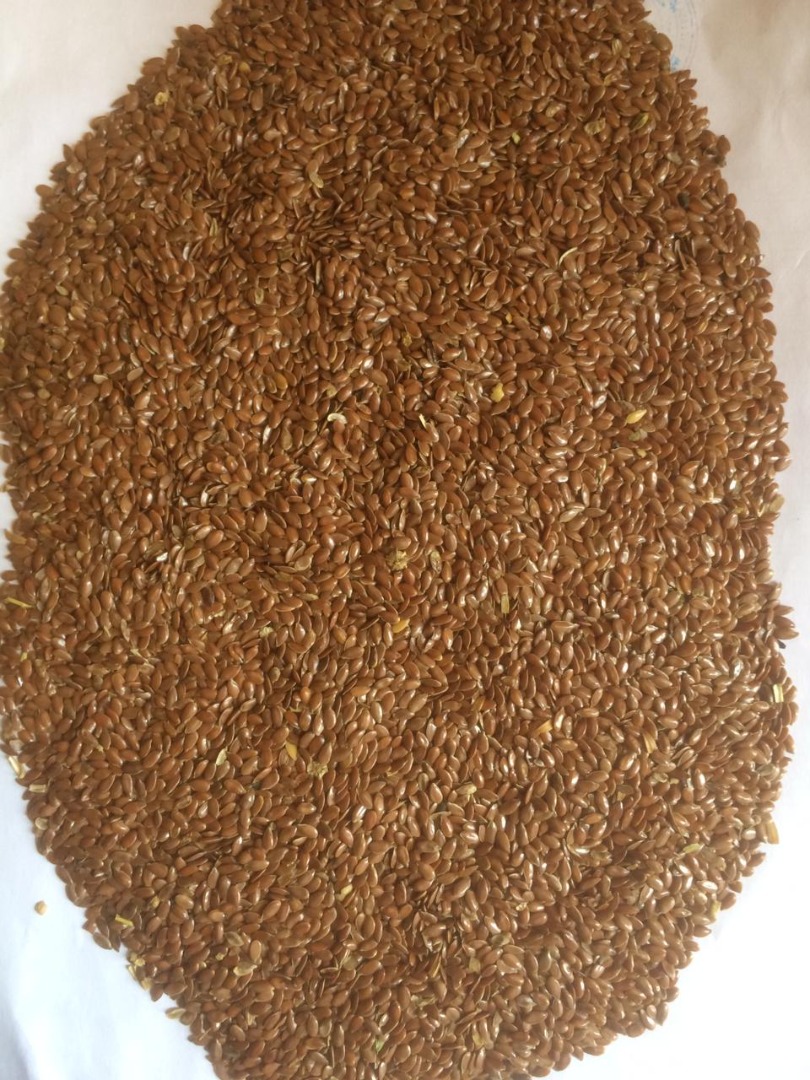 Oilseed flax brown available in a big volumes at our warehouse