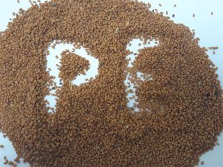 Organic Camelina seeds available in a big volumes at