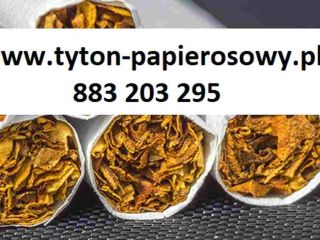 cheap cigarette tobacco. Tyton Corsair, Marlboro, Camel, LM, PS