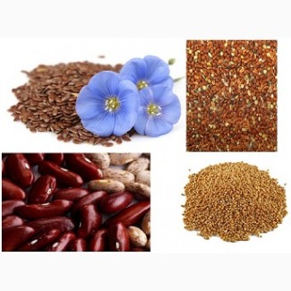 The company buys all year round: - brown flax (730$) - golden flax (780$), - millet (price 265$), - sorghum (260$), - beans (price 830$)