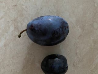 Stanley Plum We sell large quantities of Stanley Plum