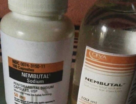 Buy Nembutal, Buy Pentobarbital Sodium Online Nembutal belongs to the class of barbiturates and acts as a depressant or sedative