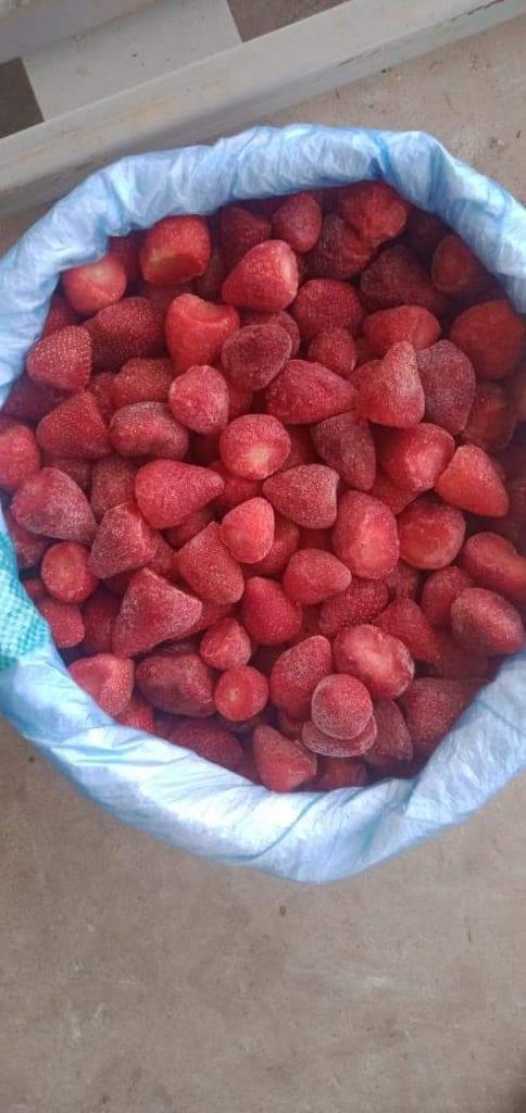 Great Price...............IQF Strawberries Variety : fortuna and festival Size 15-35 Packing: Carton 10 kg Class 1