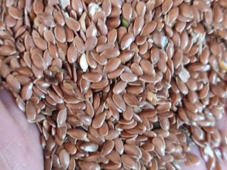 For sale quality flaxseed, purity >98%, in big bags