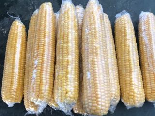 Selected Sweet Corn Megaton F1. For export! Shock frozen