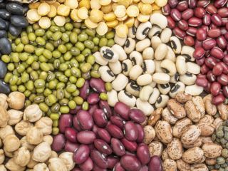 Beans wholesale. Sale of beans. The Bins Natur Product