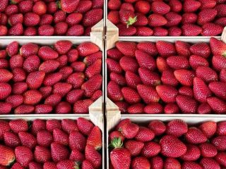 Spanish strawberry, extra class, packages 2kg, 1kg, 500g, 250g.