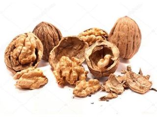 I will buy waste from the processing of walnuts: