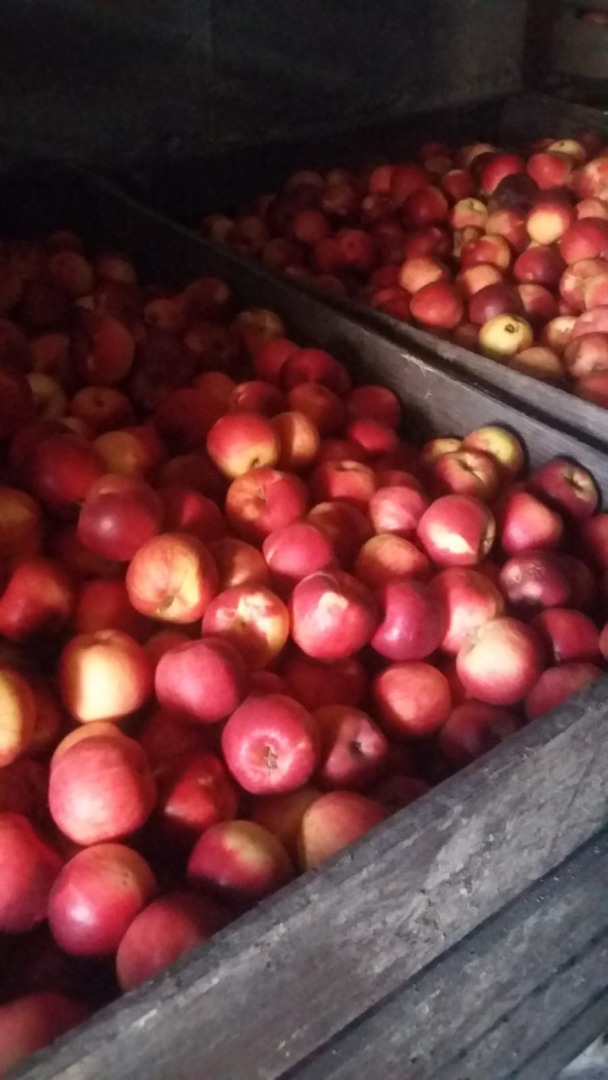I am selling consumer apples at the manufacturer's price