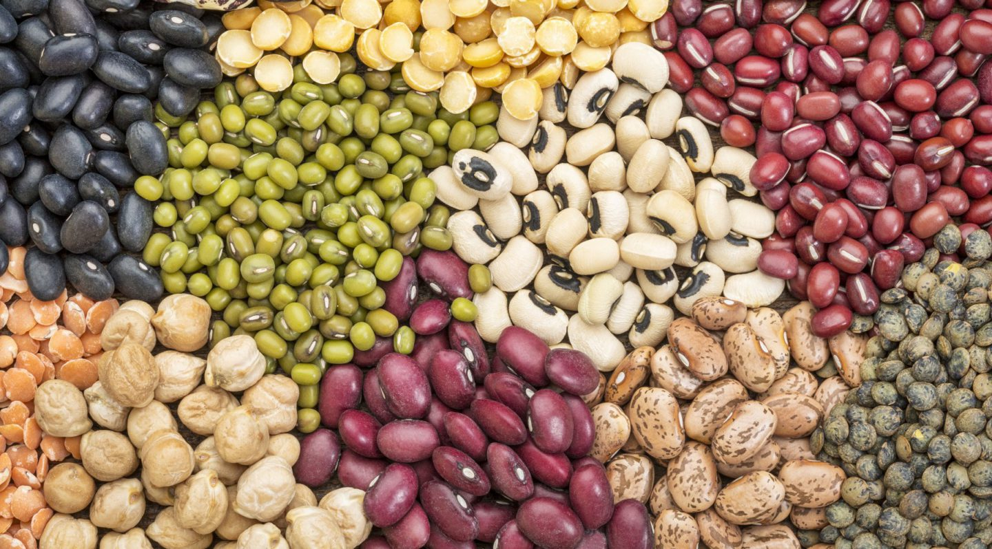 Wholesale of beans