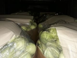 Hello I am selling white cabbage Storidor 1-4 kg