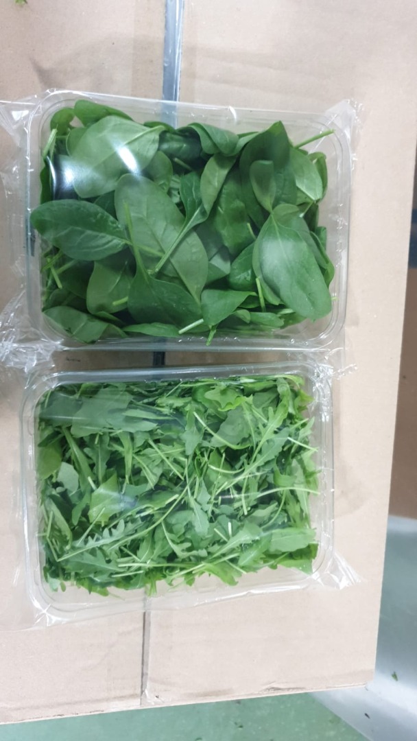 Hello ! Italian company can make offers for such products arugula, spinach, chard