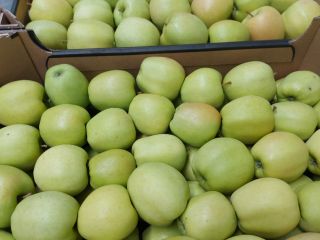 Hello. I will sell large quantities of apples of