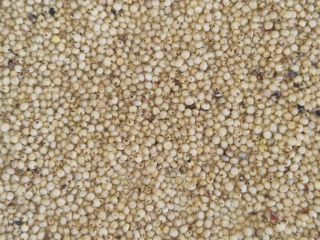 I will sell red sorghum 200 tons. Packed in