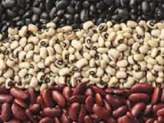Beans. Wholesale Delivery. We carry out wholesale deliveries of