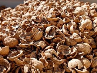 I will buy waste of processing of walnuts I