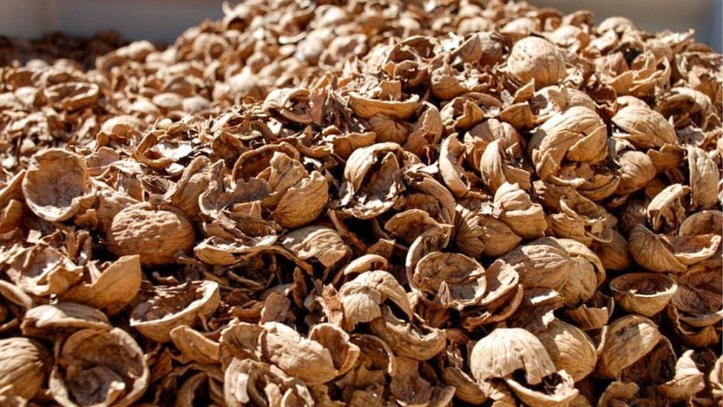 I will buy waste of processing of walnuts I will buy waste from processing of walnuts: rusk, dust, rot, the cleaned walnut with a moth