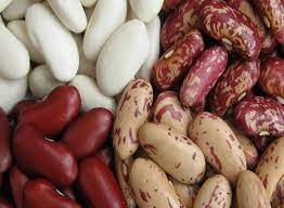 Beans of different varieties
