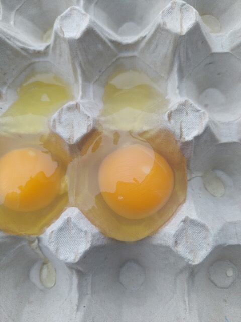 Hello! I am selling cream eggs from free range 1A, 1B