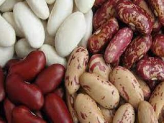 Beans from Ukraine wholesale. Delivery to Europe, Asia, Georgia,