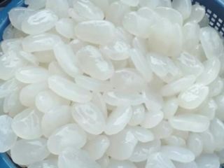 Palm sugar fruit
