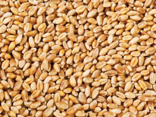Hi.We are importer exporter company.If you need anything from