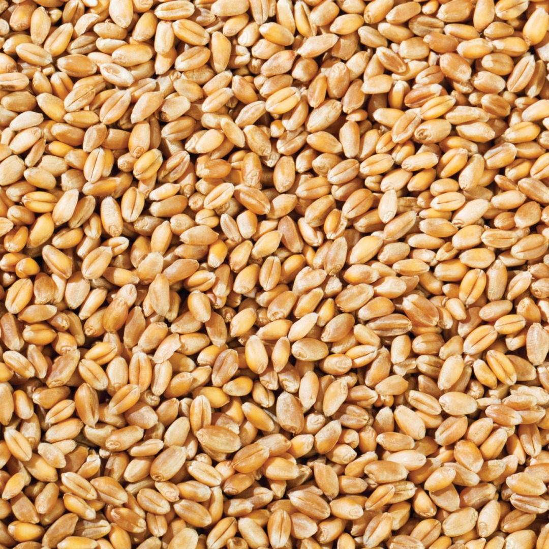 Hi.We are importer exporter company.If you need anything from Azerbaijan,Iran,Turkey and Russia please contact with me