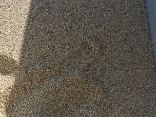 I am selling NON OMG soy
