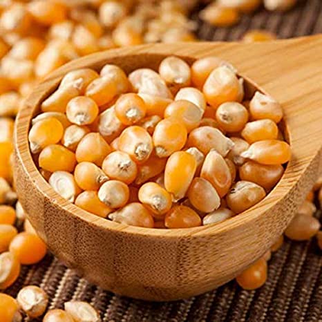 GMO and Non GMO Yellow Corn Grade A Origin :Brazil Moisture
