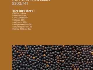 Rape seeds Grade A Origin :Brazil Moisture. :12% MOQ.