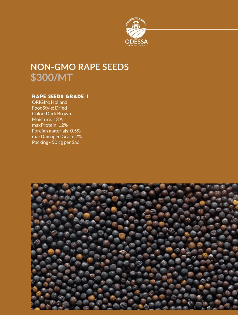 Rape seeds Grade A Origin :Brazil Moisture