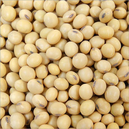 GMO and Non GMO Soy Beans Grade A Origin :Brazil Moisture