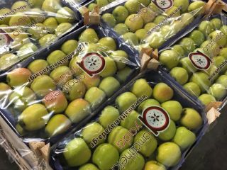 Available Golden Delicious - 1st class, any type of