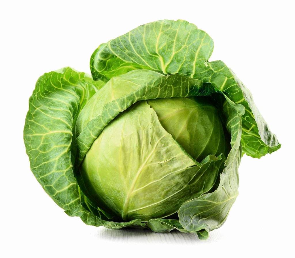 I will sell more potatoes and white cabbage